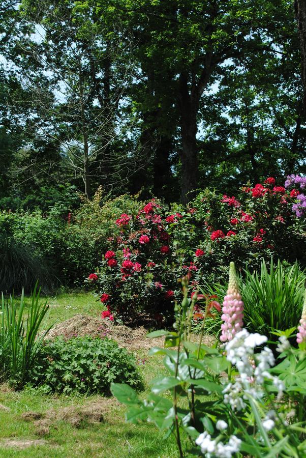 Bed and Breakfast Le Moulin Du Bignon Lassy Экстерьер фото